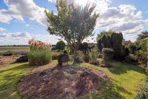Garden- click for photo gallery